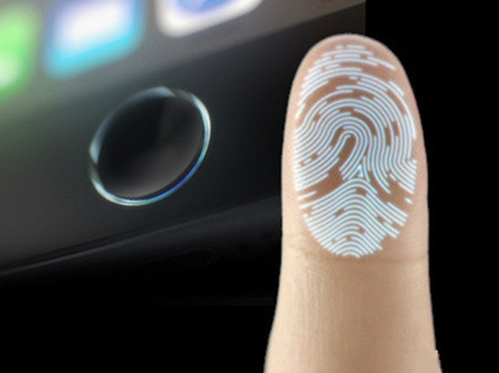 fingerprint