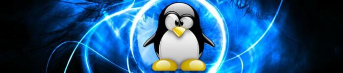 Linux已成为世界最大软件开发项目