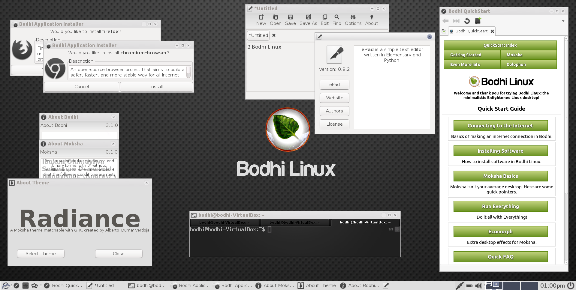 Bodhi Linux