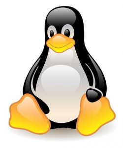 linux-jxw