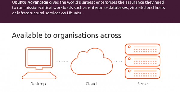 [信息图]Canonical详细解释付费服务Ubuntu Advantage的优势