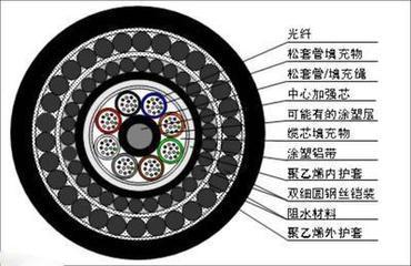 美国人这根东西也太长了吧，居然&#8230;