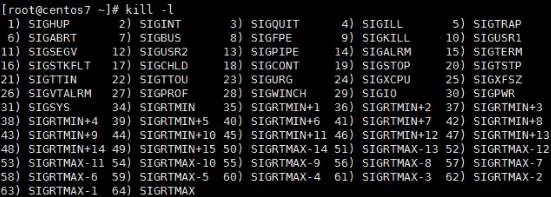 详解Linux进程及作业管理