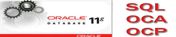 在 Cenntos6.8 下安装 Oracle11g