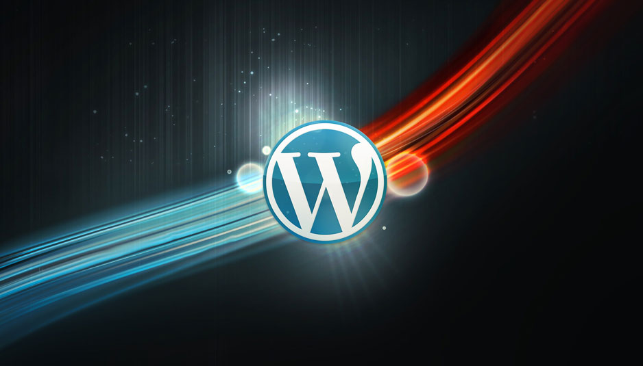 WPSeku：一个找出 WordPress 安全问题的漏洞扫描器