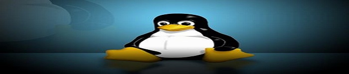 麒麟版Linux怎么在笔记本上安装