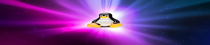 Linux 调试器之处理变量！