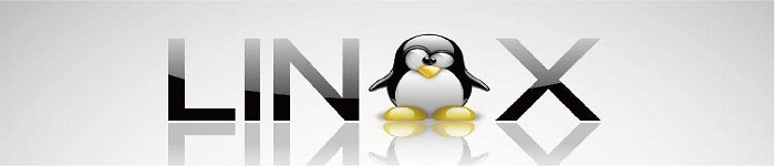 Linux 引入 KernelCI，将改善 Linux 长期支持（LTS）内核测试状况