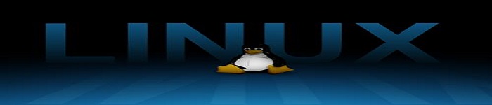 Linux下的文件I/O编程