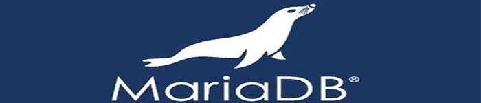 如何在 MariaDB 中配置主从复制