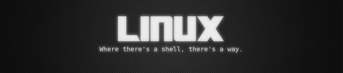 Linux top 命令快速入门