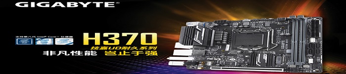 技嘉Z390主板配双路RTX 2080