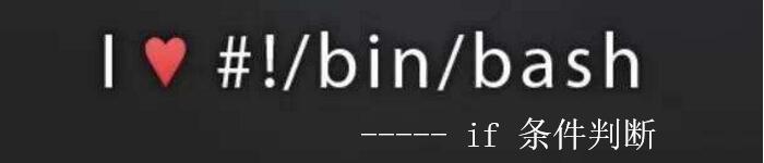 linux下 if 判断条件学习