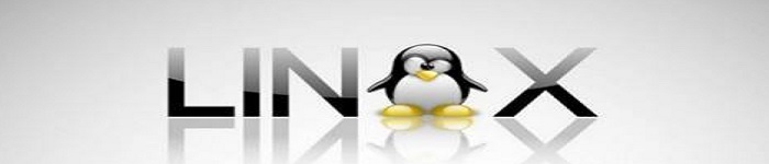 Linux 正式引入讯飞输入法，提供更优质的输入体验