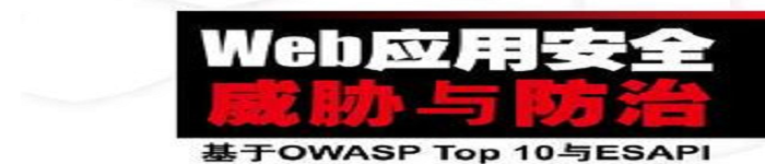 《Web应用安全威胁与防治:基于OWASP Top 10与ESAPI》pdf电子书免费下载