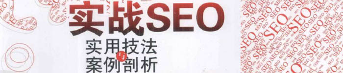 《实战SEO-实用技法与案例剖析》pdf电子书免费下载