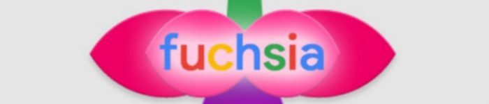 Google “金屋藏娇”的 Fuchsia OS 到底是什么？