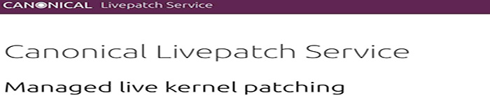 在 Ubuntu LTS 系统上启用 Canonical 内核实时补丁服务的方法介绍