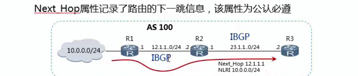 学习网络BGP必备基础知识