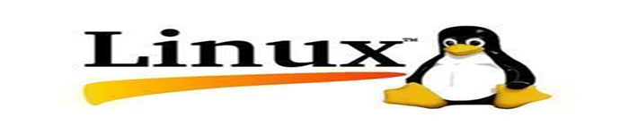 教你玩转Linux—磁盘管理