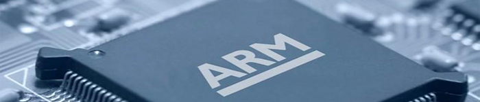 ARM，自定义指令集功能?