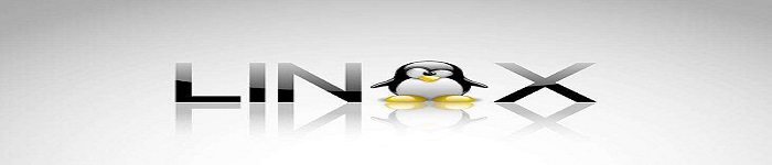 Linux 资深用户的特征有哪些？