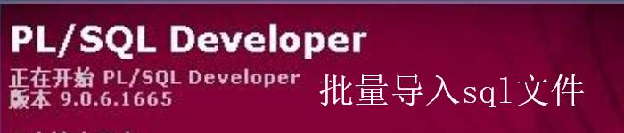 如何使用 pl/sql developer 批量导入 sql 文件