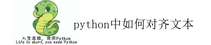 说说在 python 中，如何对齐文本