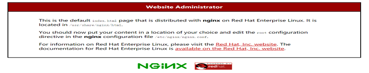 RHEL 8 搭建 Nginx Web 服务