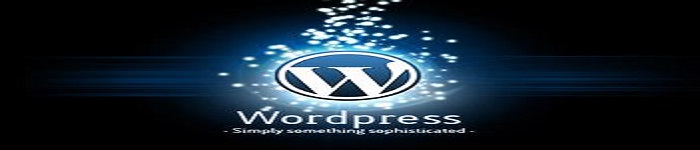 WordPress 诞生 20 周年