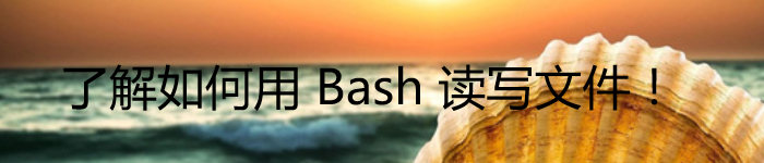 了解如何用 Bash 读写文件