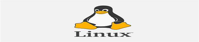 Linux中的环境变量知多少？