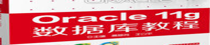 《正版 ORACLE11G数据库教程》pdf电子书免费下载