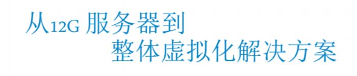 《从12G服务器到整体虚拟化解决方案》pdf电子书免费下载