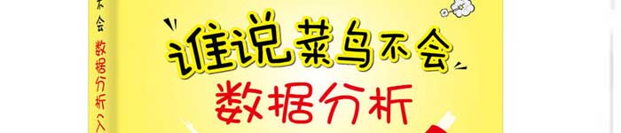 《谁说菜鸟不会数据分析(入门篇)(第4版)》pdf电子书免费下载