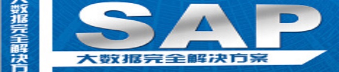 《SAP大数据完全解决方案》pdf电子书免费下载