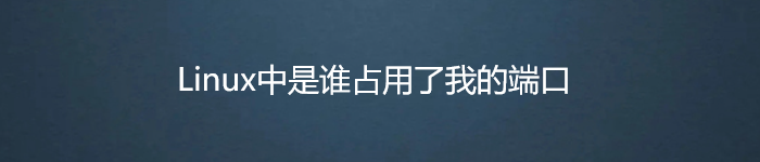 Linux中是谁占用了我的端口