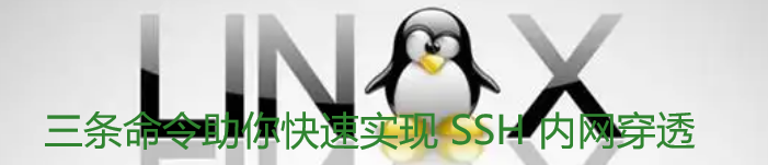 三条命令助你快速实现 SSH 内网穿透