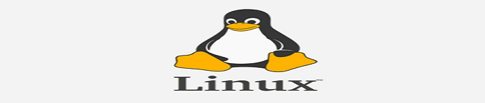 出于安全考虑，Linux Kernel 下个开发周期将禁用对微软 RNDIS 协议驱动的支持