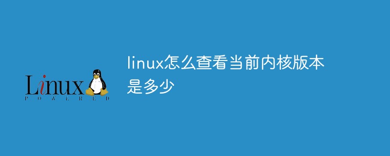 命令行查看Linux系统位数的方法查看系统发行版本方法介绍