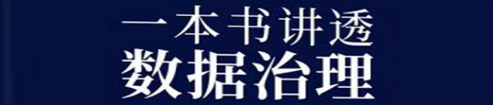 《一本书讲透数据治理》pdf电子书免费下载