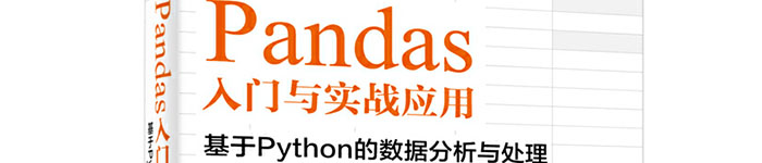 《Pandas入门与实战应用 ：基于Python的数据分析与处理》pdf电子书免费下载