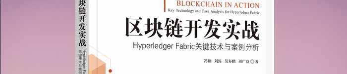 《区块链开发实战：Hyperledger Fabric关键技术与案例分析》pdf电子书免费下载