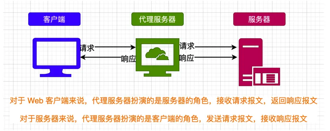 代理器服务出现问题_代理器服务设置_linux dns代理服务器