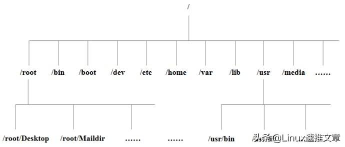 linux系统目录结构_linux目录结构是什么_linux目录结构图