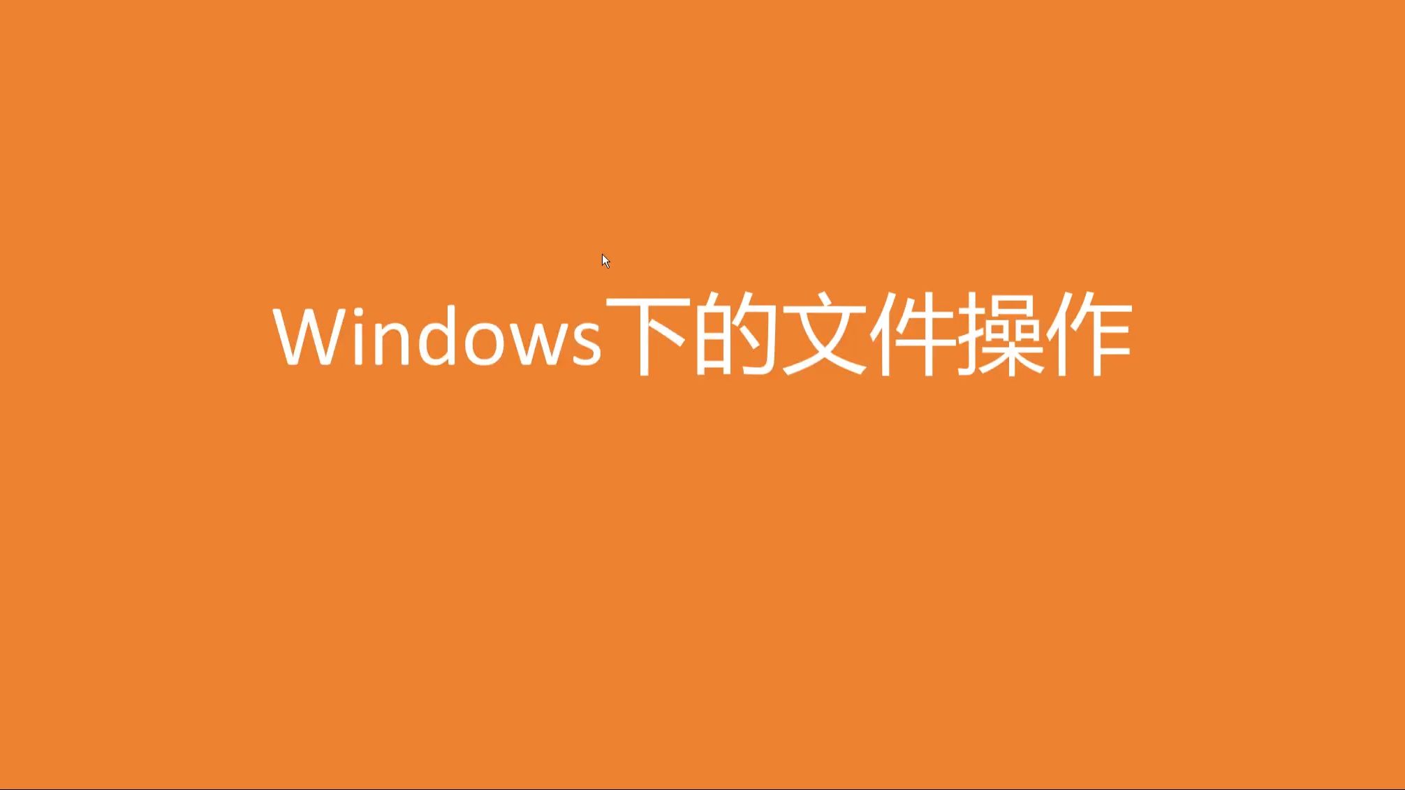 如何打开扩展名为 exe 的 windows 下可执行文件