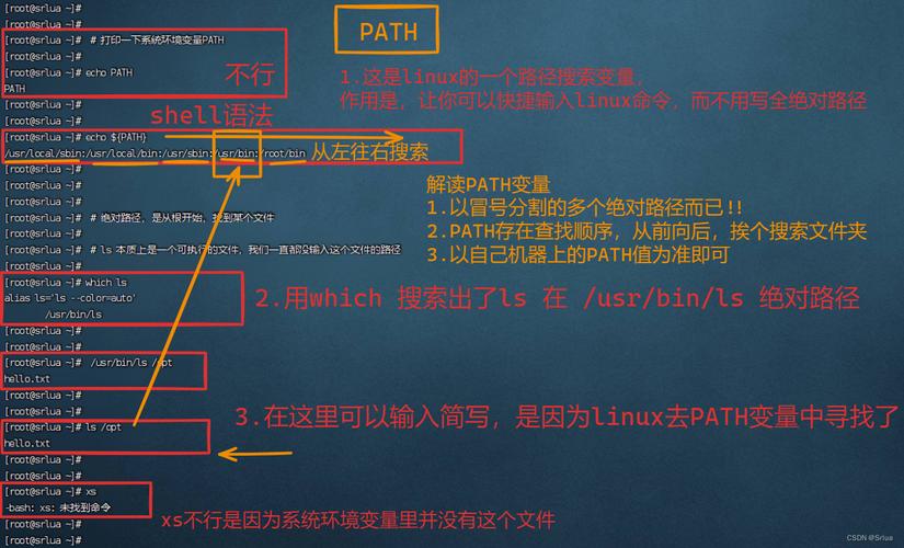 深入了解Linux系统中find命令的正确使用方法与技巧