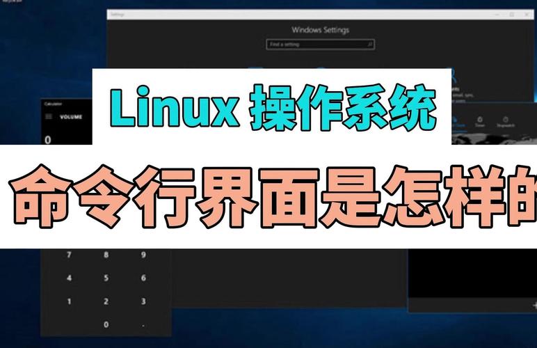 linux 查看端口命令_端口命令查看_查看端口号linux