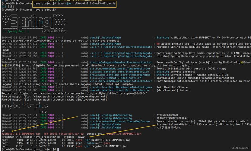 程序运行快捷键_程序运行出现Aborted_linux 运行java程序